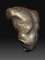 Zbrush3 – Rumpf (2008)